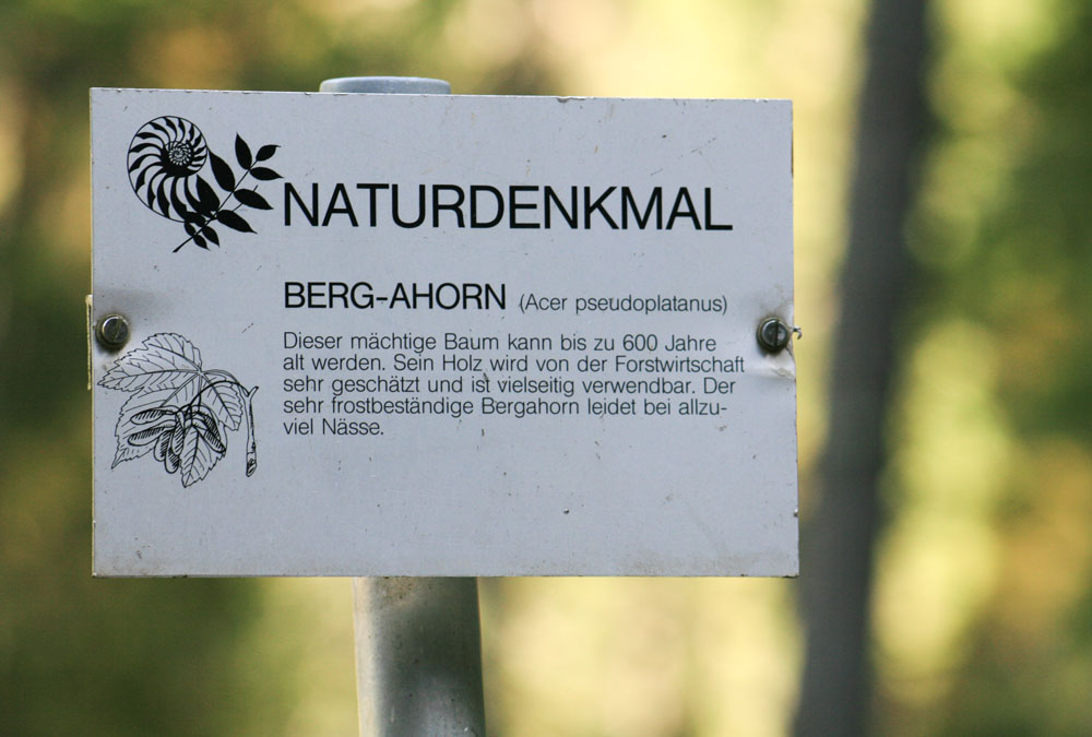 Appartement Kleinwalsertal Boom 2 1000x675px