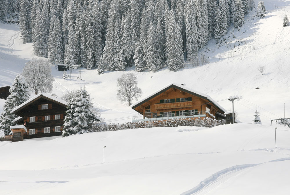 Appartement Kleinwalsertal Winters Berghuis 1600x400